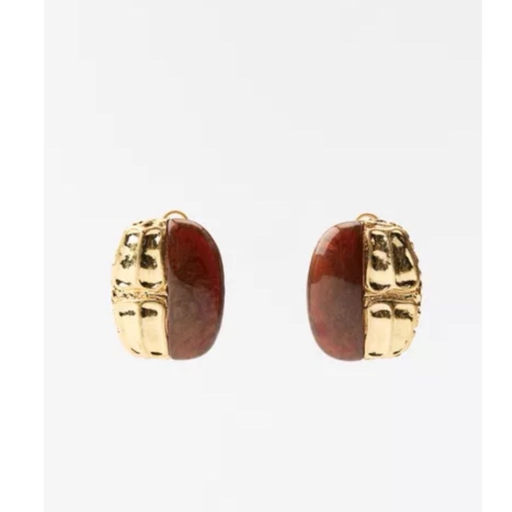 Zara Gold and Brown Earrings